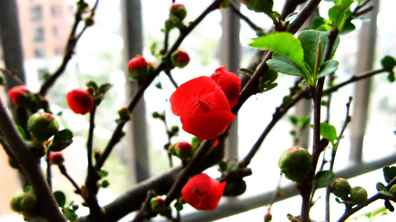2010ϲƬ_0088.jpg