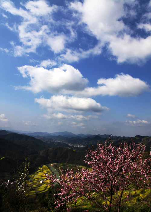 IMG_5679.jpg