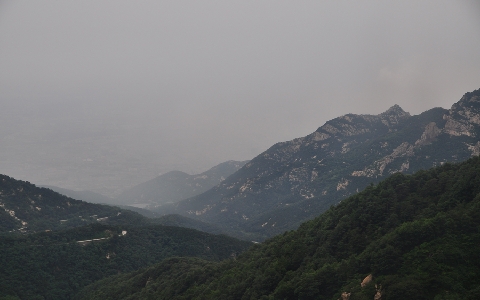 DSC_0198.JPG
