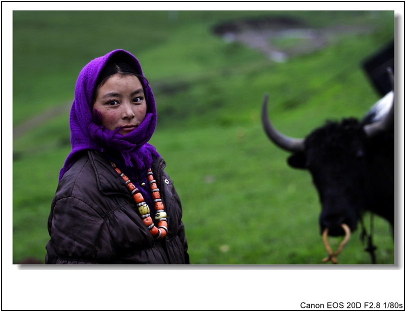 IMG_8093_conew1.jpg