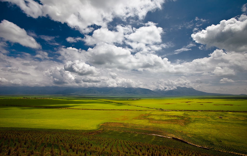 _MG_3190-0-ys.jpg