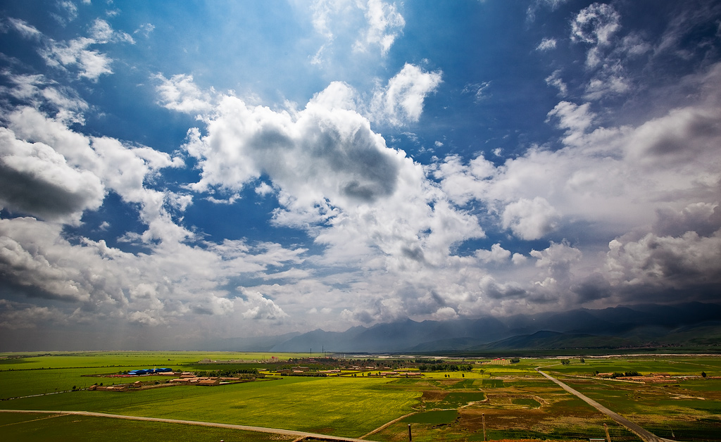 _MG_3188-0-ys.jpg