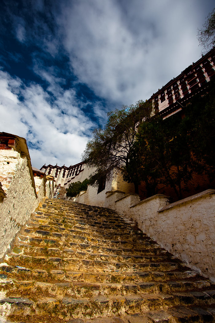 12_MG_3392-0-ys-·.jpg