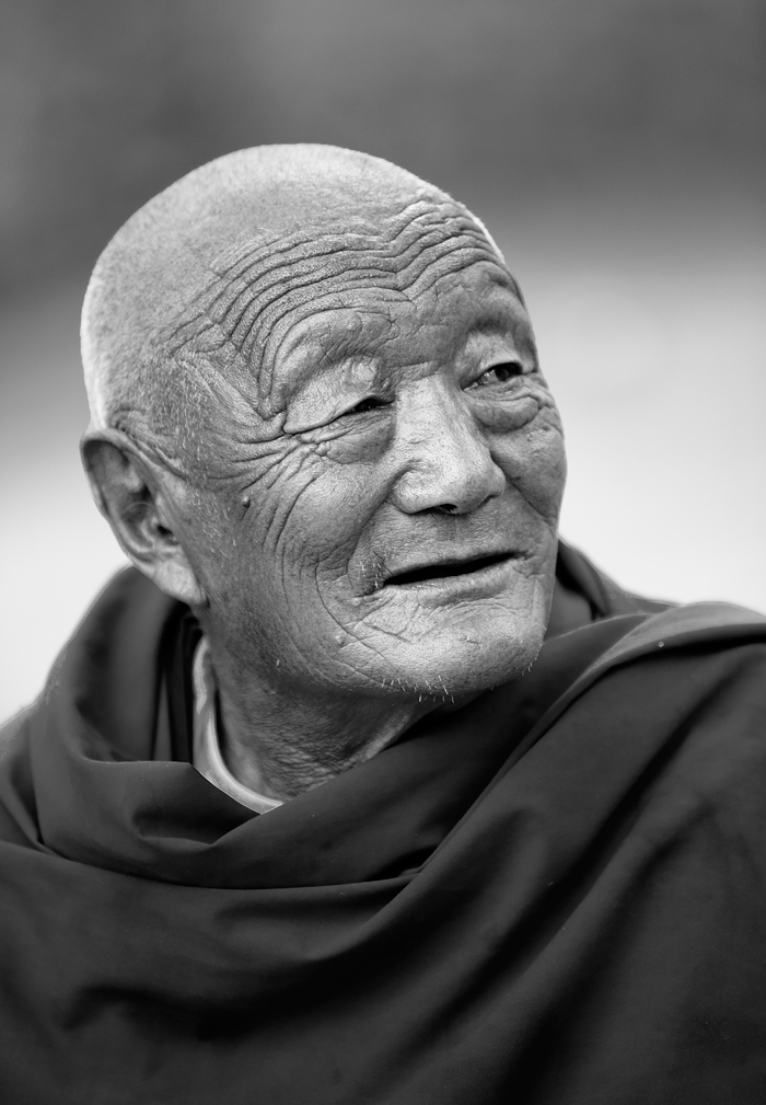7_MG_5518-0-ys.jpg