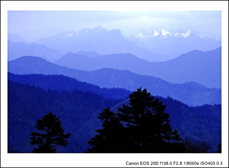IMG_6294_A.jpg
