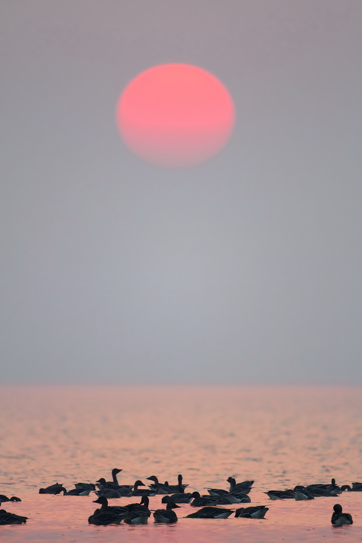 150888543712733[1].jpg