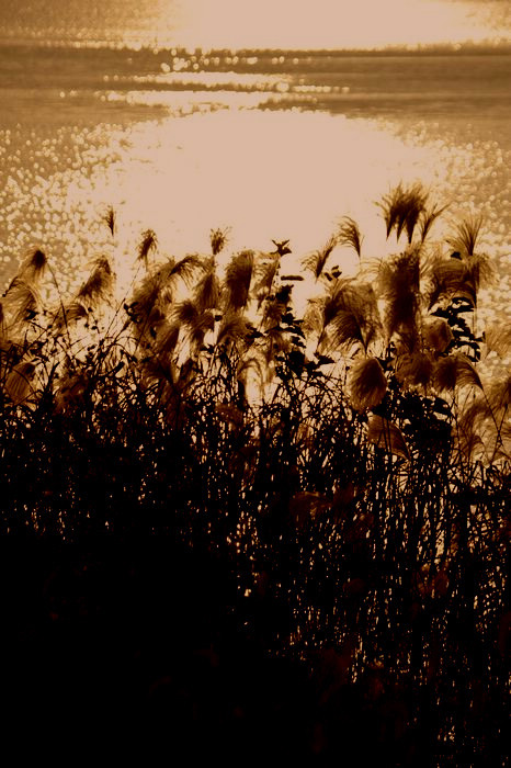 Ƭ 199ƻ«.jpg