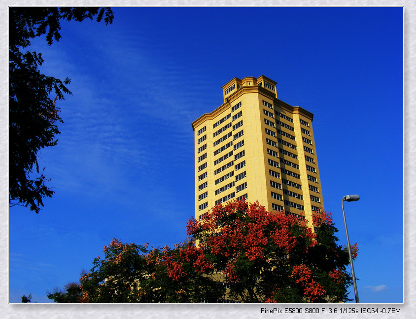 2008_0928S580001250.jpg