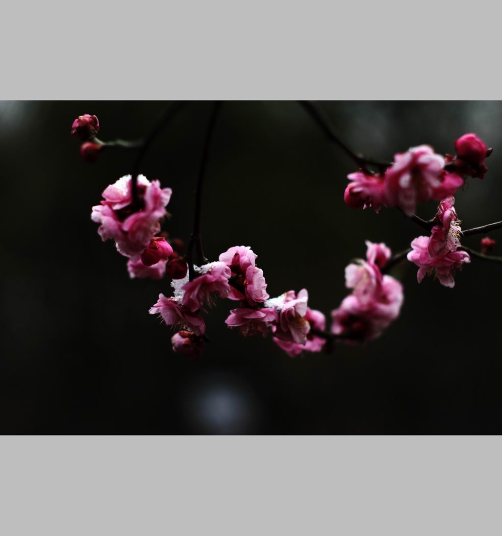 С ع IMG_9158.JPG