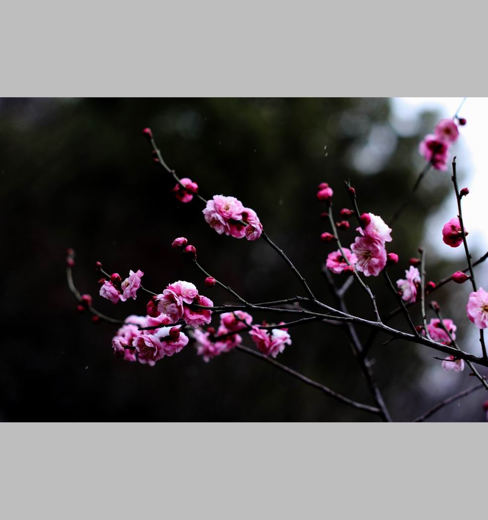 С ع IMG_9147.JPG