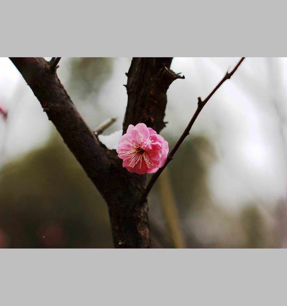 С ع IMG_9155.JPG