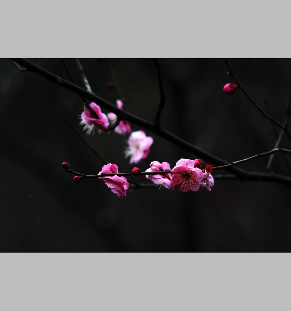 С ع IMG_9172.JPG