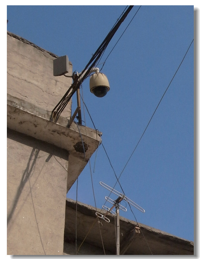 ڵİ豸R0011910.jpg