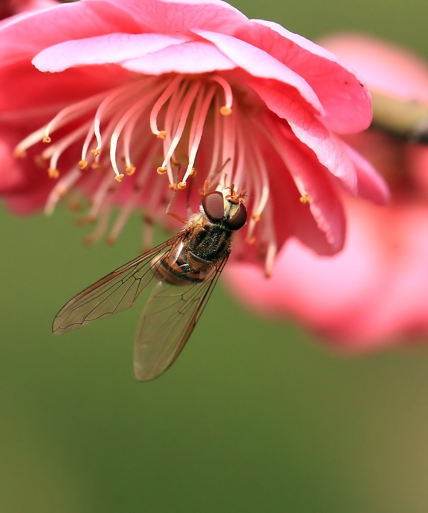 IMG_0095-g10-2_filtered.jpg
