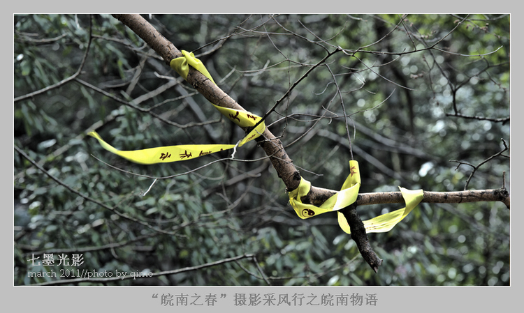 DSC_2846-2-3.jpg