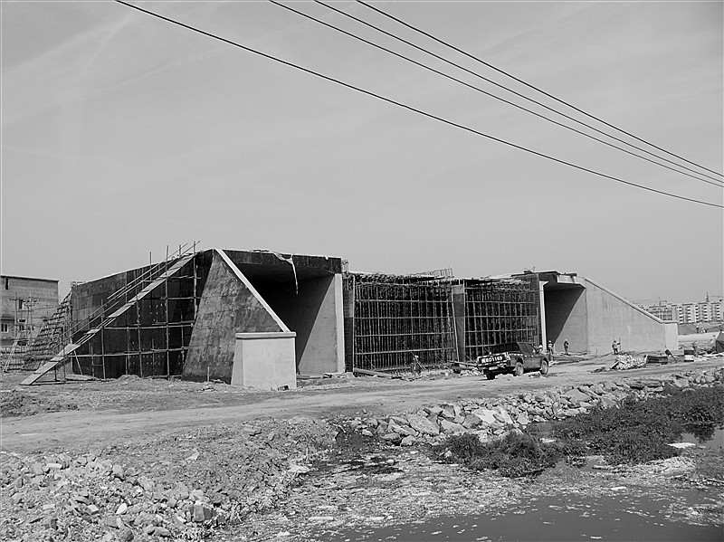 p1270117__.jpg