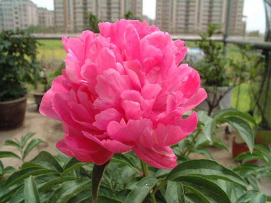 DSCF0002.JPG
