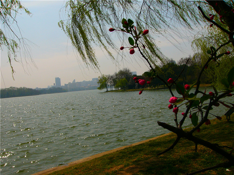 p1270386_.jpg