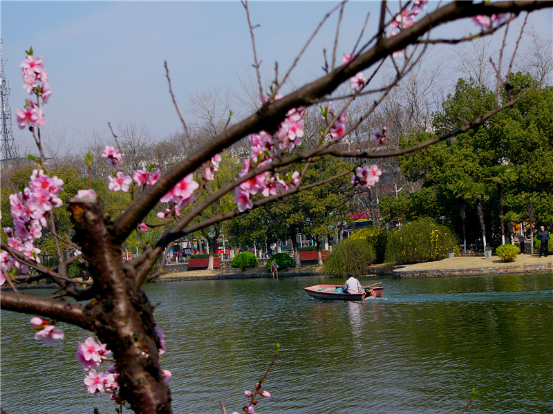 p1270308_.jpg