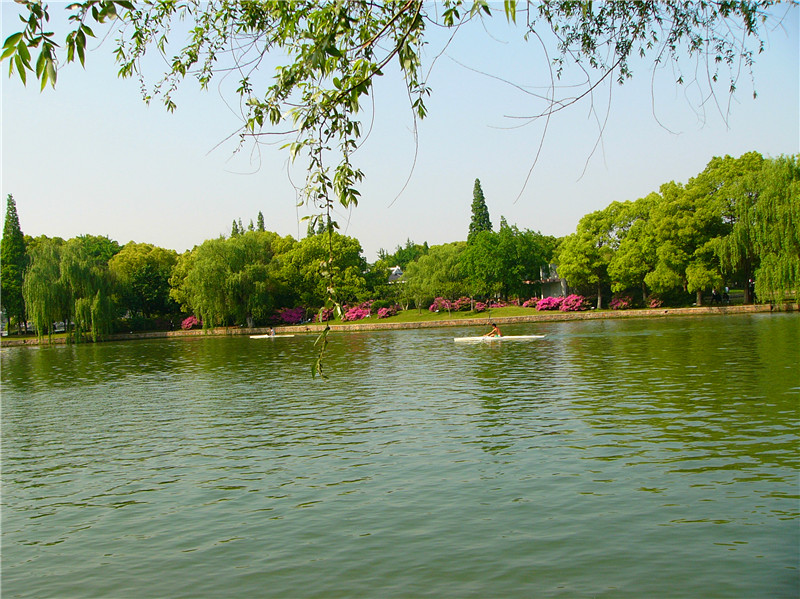 P1210409_.jpg