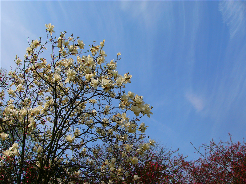 p1270379_.jpg