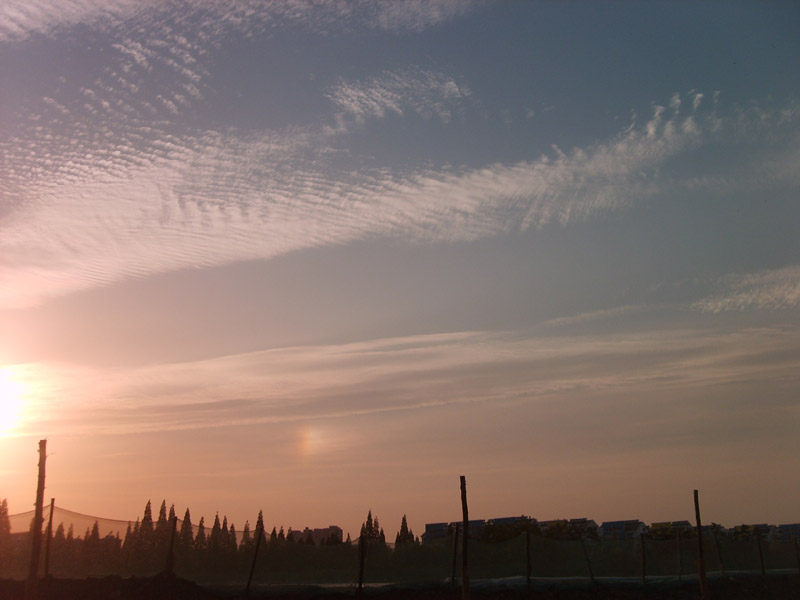S5000410.JPG