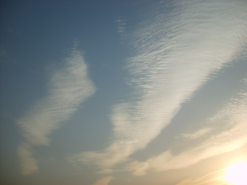 S5000405.JPG
