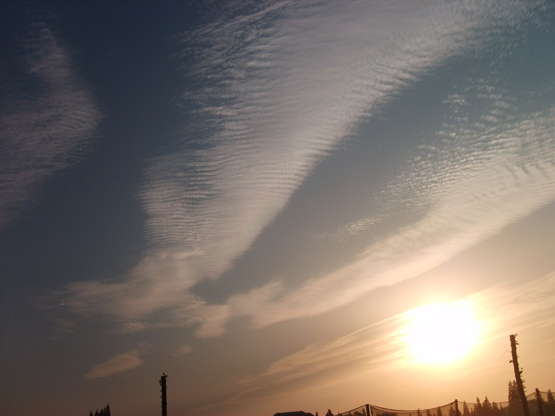S5000408.JPG