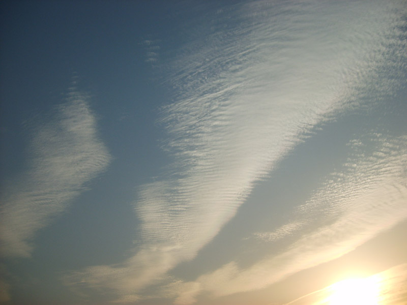 S5000406.JPG