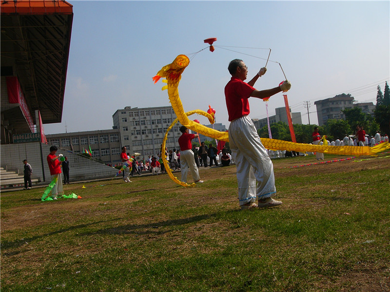 p1310706_.jpg