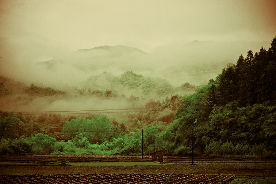 _DSC6091Ϊܶ-3a.jpg