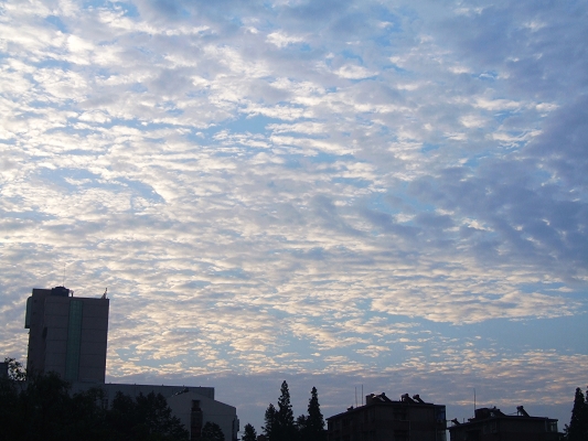 DSCF2700-1.jpg