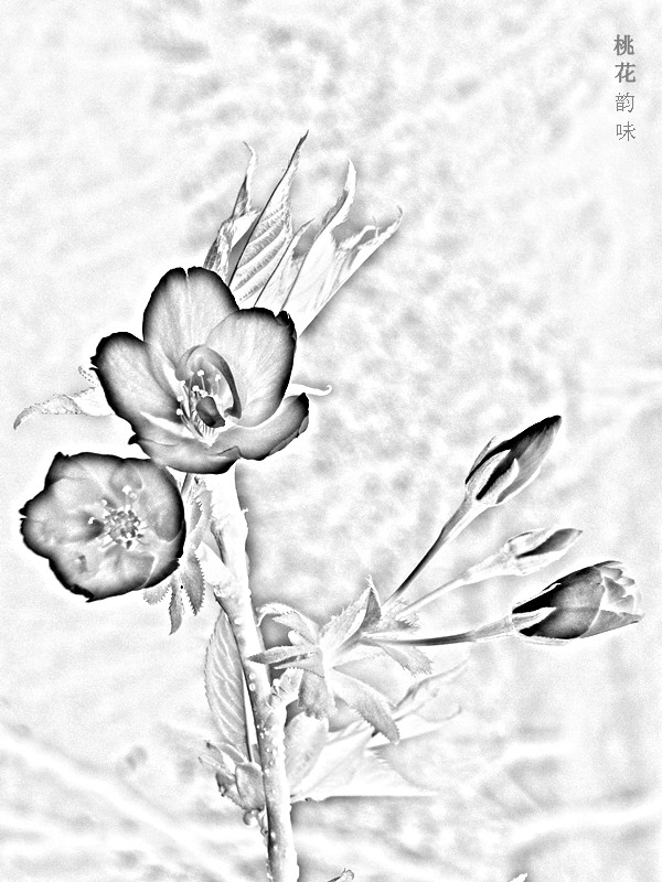 P1270618_.jpg
