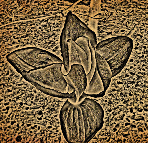 P1270473_.jpg