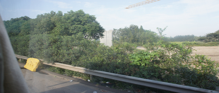 DSC01417.JPG