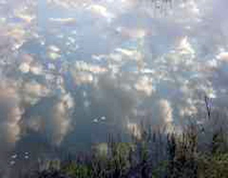 DSC01513_conew2.jpg