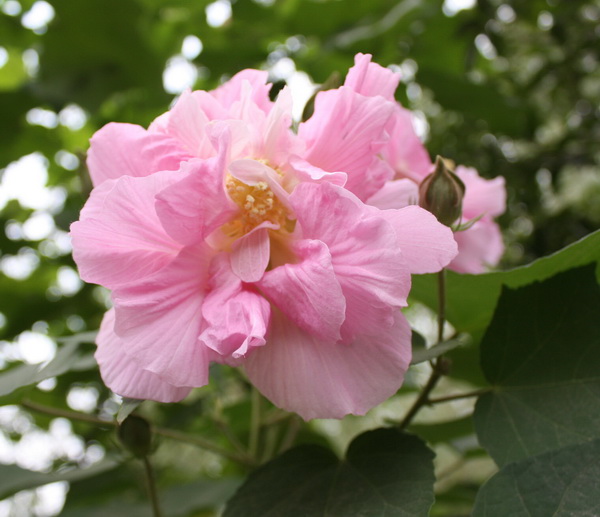 IMG_4578.jpg