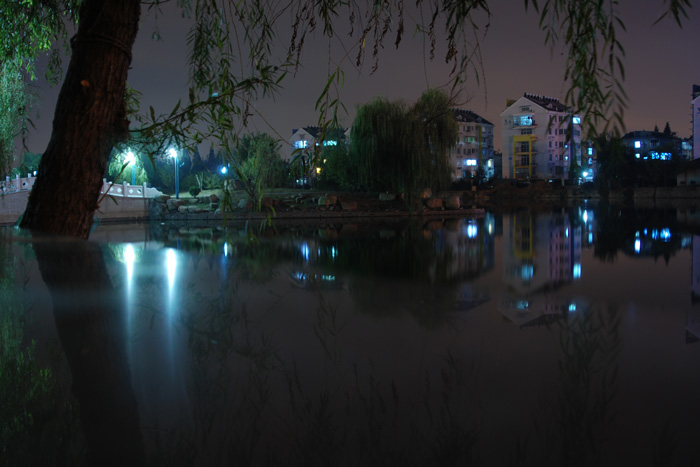 DSC_2176.JPG