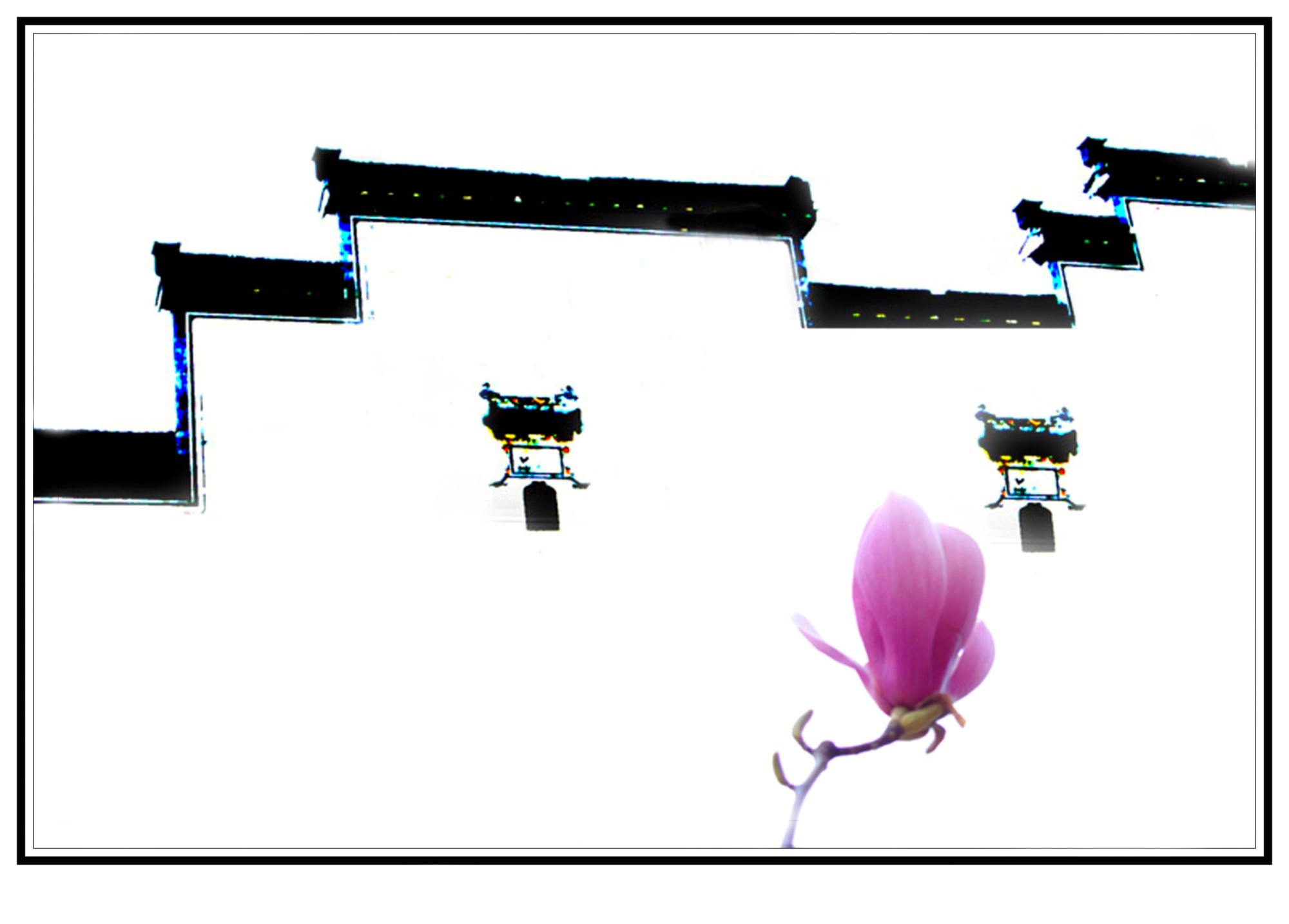 ӳ_conew3.JPG