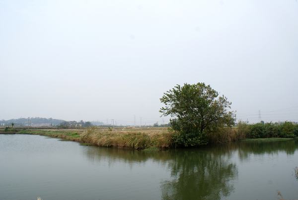 DSC01430.JPG