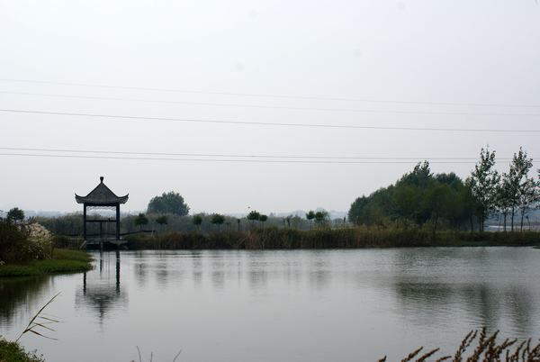 DSC01432.JPG