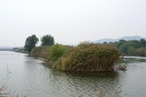DSC01436.JPG