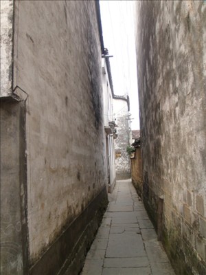 DSC04761.JPG