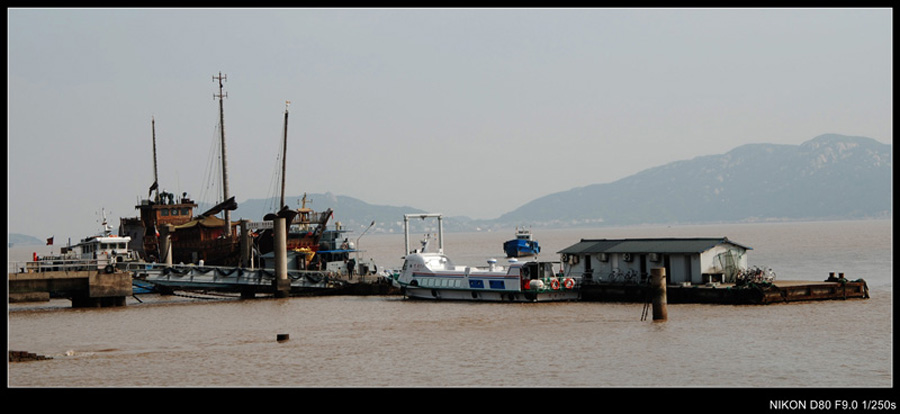 DSC_3991_conew1.JPG