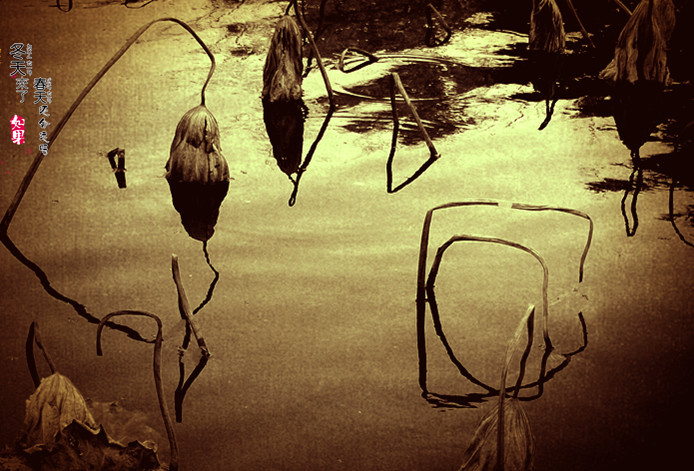 P1250834__.jpg