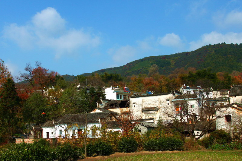 06.jpg