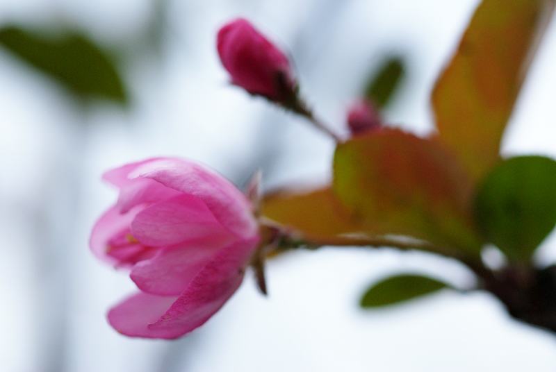 DSC03345.JPG