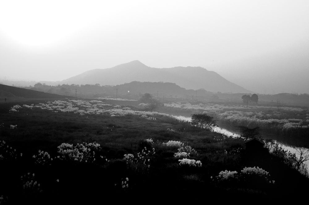 DSC_0116_029.jpg