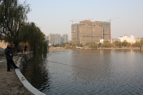 IMG_5305.jpg