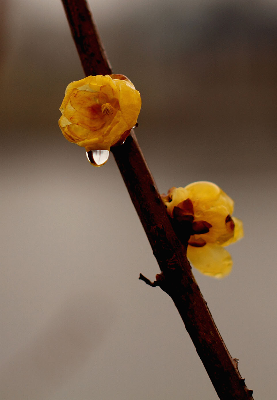 _MG_47928 .jpg